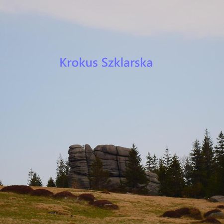 Apartament Krokus Szklarska Schreiberhau Exterior foto