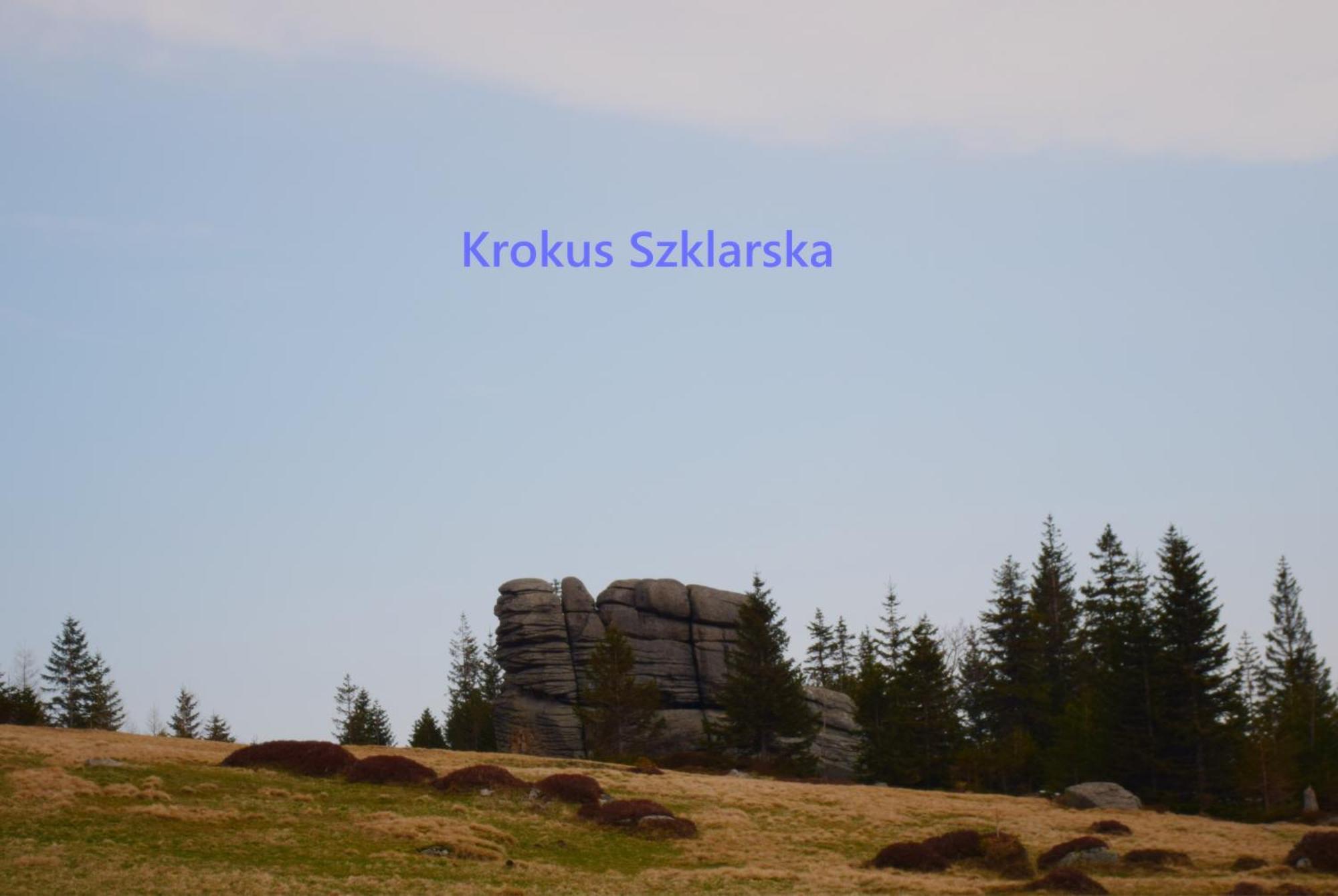 Apartament Krokus Szklarska Schreiberhau Exterior foto